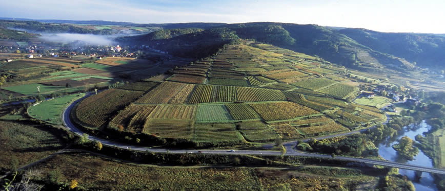 Die Regionen - Aussicht auf Schöberg am Kamp